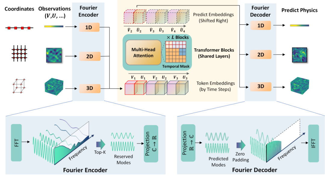 OmniArch 整体架构：Fourier 编码器、共享 Transformer 与 Fourier 解码器